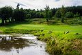 Rossmore Golf Club (59 of 79)